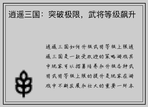 逍遥三国：突破极限，武将等级飙升